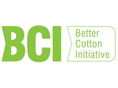 BCI